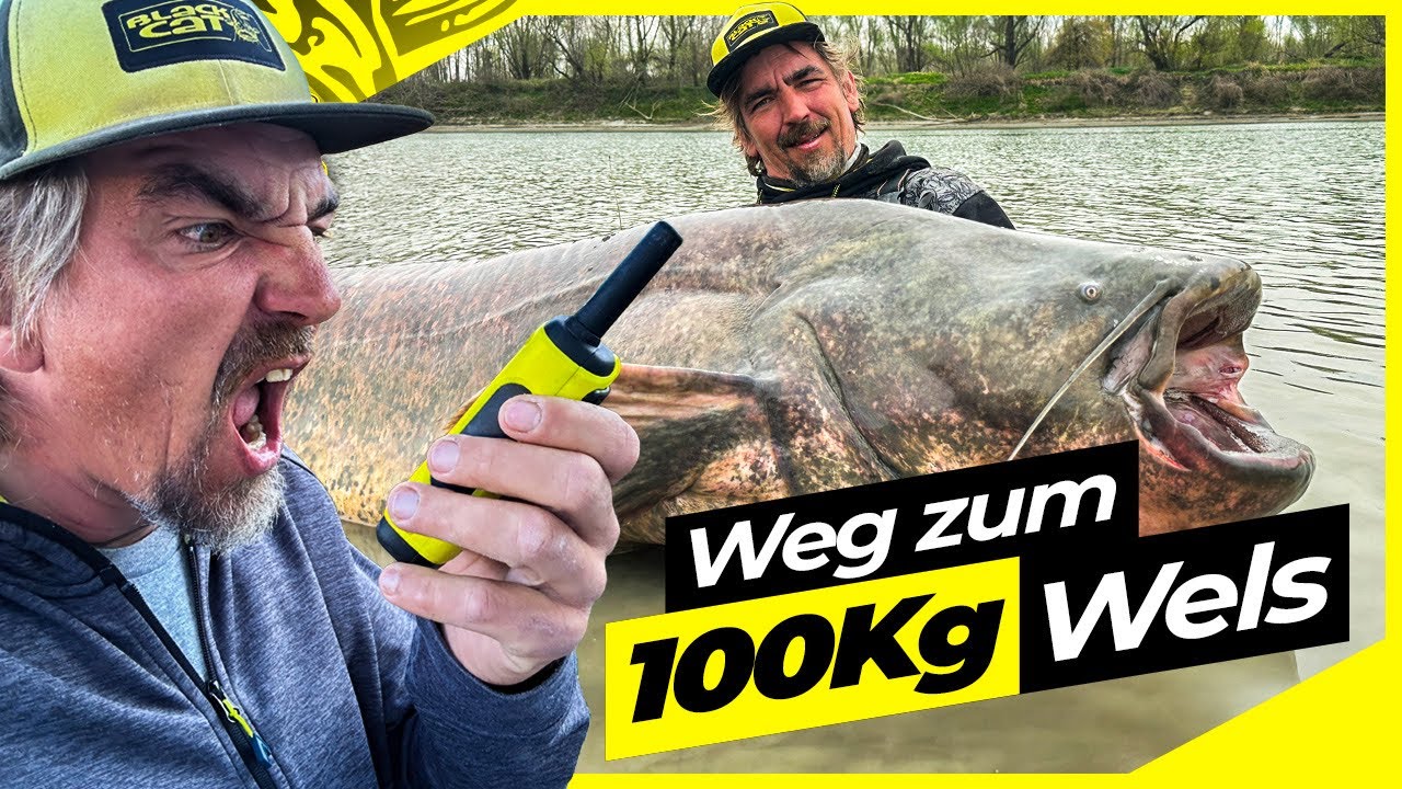 Der WEG zum 100 Kilo WELS !! | Angeln au&szlig;erhalb der Komfortzone !! | Welsangeln mit FUNK