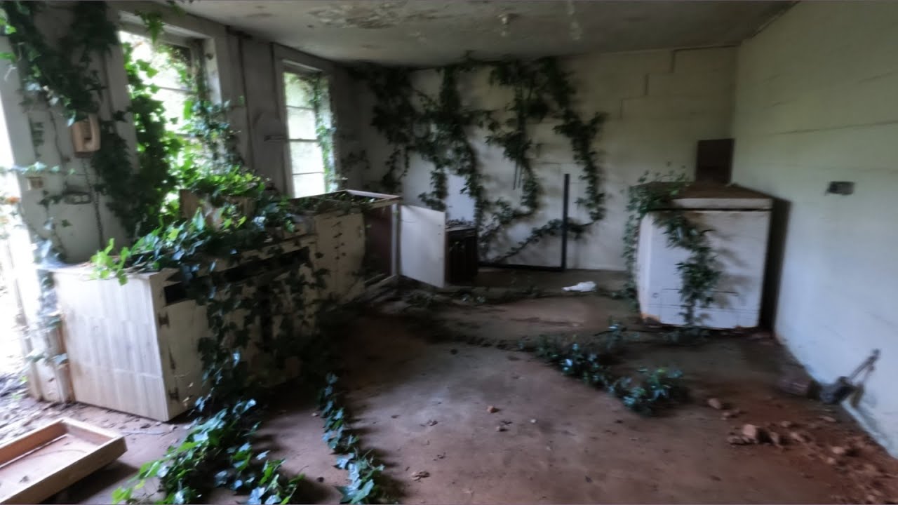 Vine-Covered House, outbuildings, and a disgusting surprise.