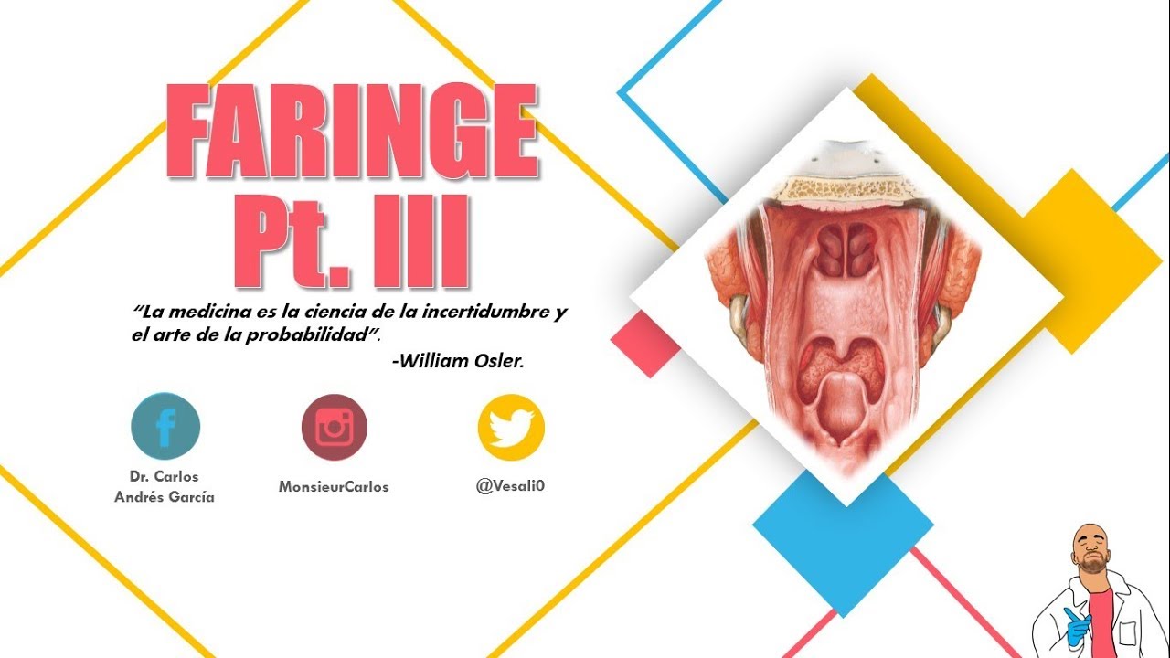 Anatomía - Músculos de la Faringe (Origen, Inserción, Acción, Hiatos)