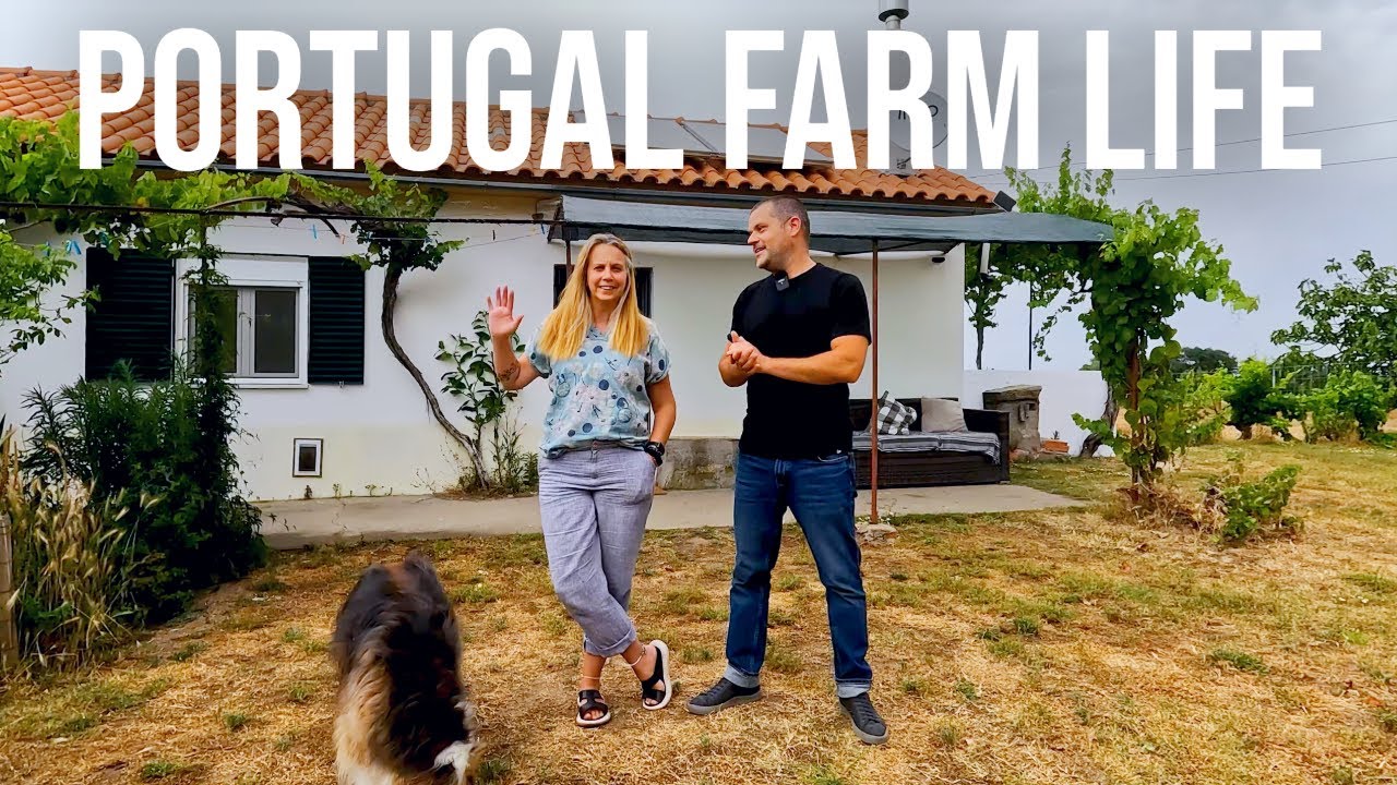Another RECORD BREAKING harvest! | PORTUGAL FARM LIFE