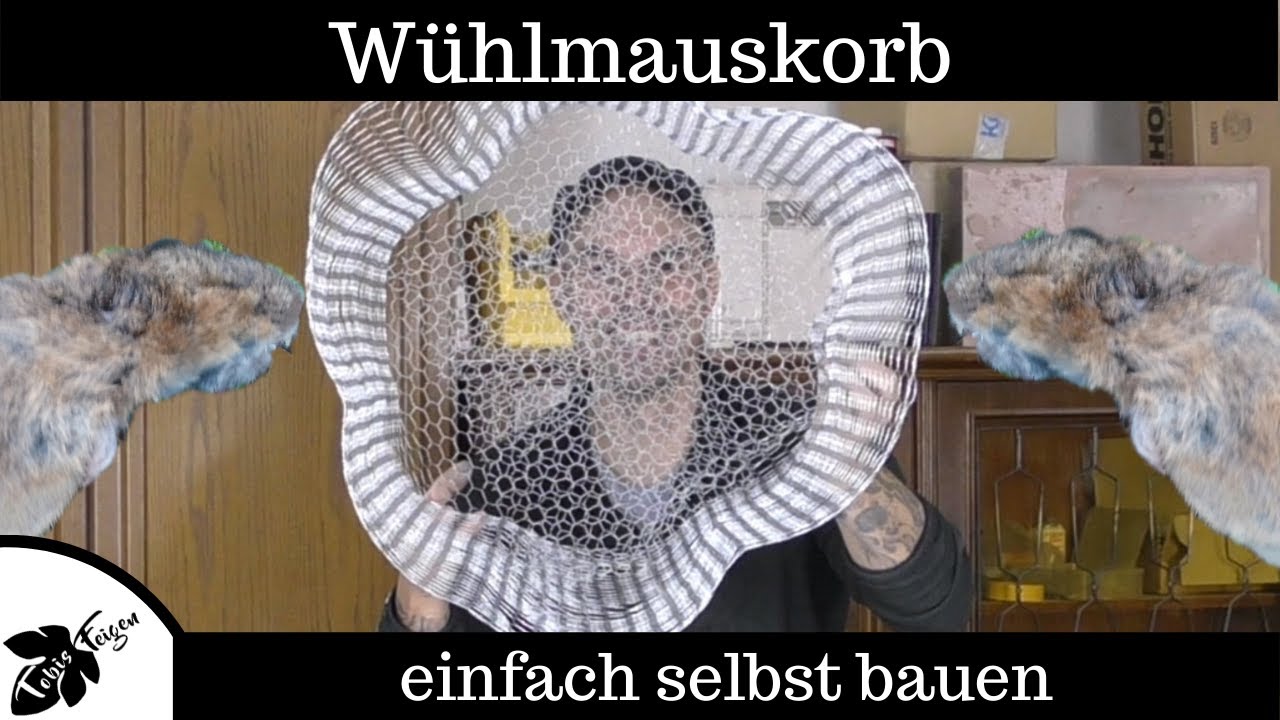 Wühlmauskorb selbst bauen | aus einem Stück Drahtgeflecht