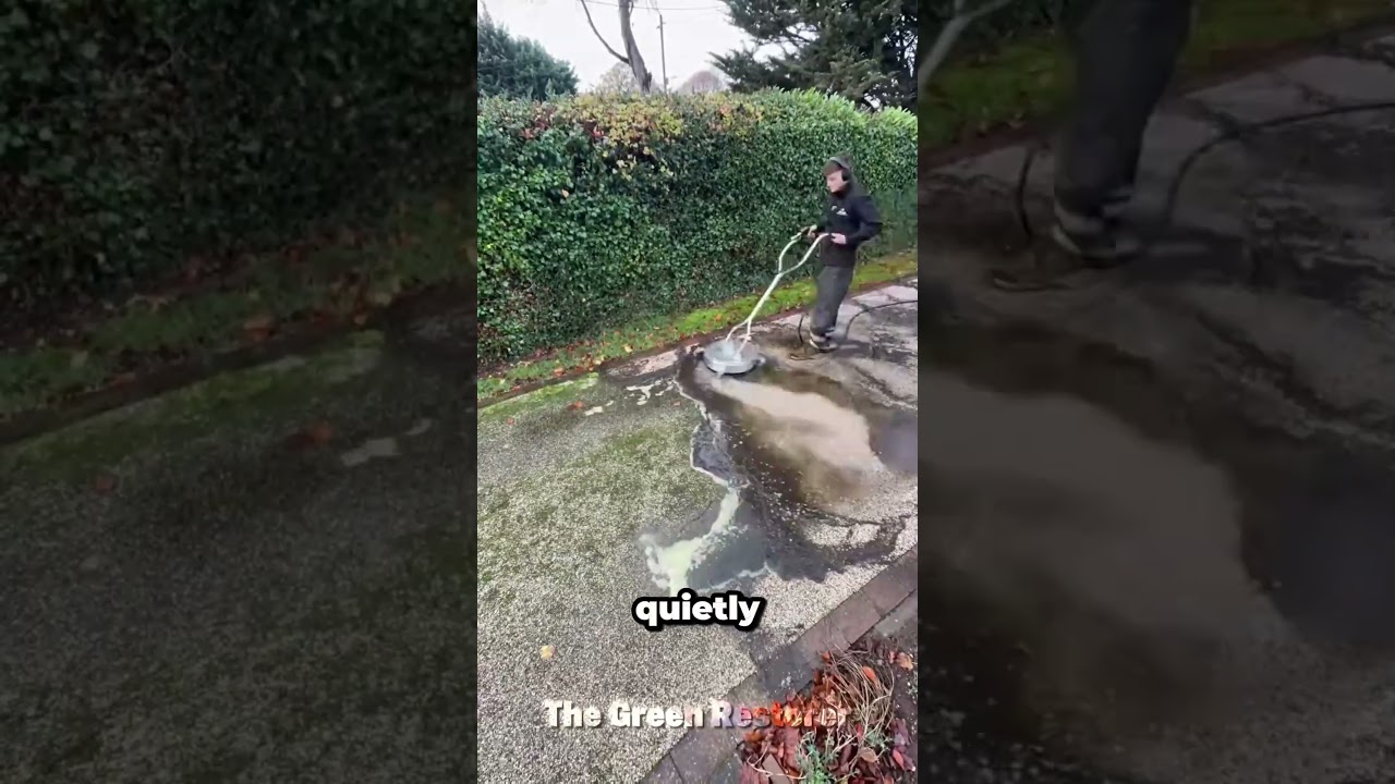 Lawn Restoration | Transformation | Cleaning #shorts #satisfying #gardening