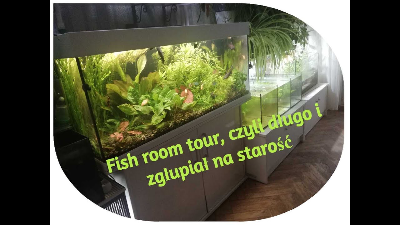 83. Fish room tour, czyli mały bzyka...