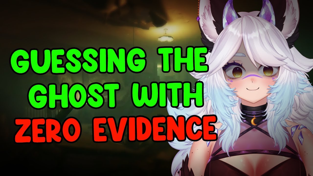 Phasmophobia - I Guessed the ghost without any evidence!