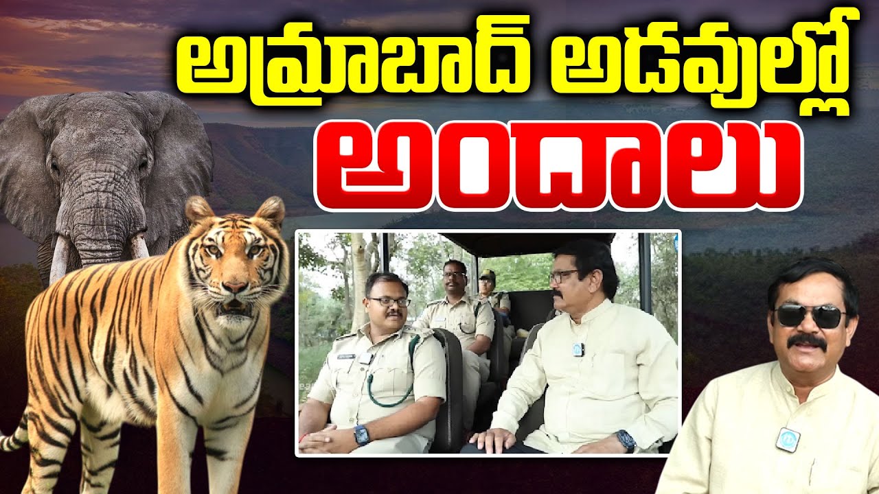 Jungle Safari In Amrabad Tiger Reserve Nallamala Forest || I Dream News