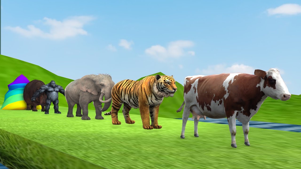 Long Slide Game With Cow Elephant Gorilla Hippopotamus Tiger - 3d Animal Game - Funny 3d Animals