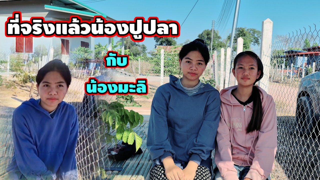 ข่าวดีน้องมะลิ#น้องปูปลามาช่วยงานถึงที่👏👏14 มกราคม ค.ศ. 2026