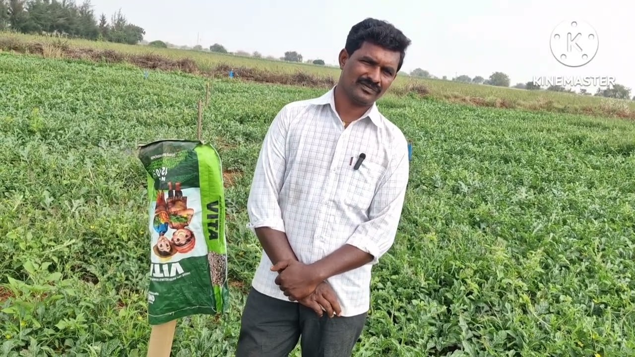 ##పుచ్చకాయ రైతు ఆలోచన ## బాగుంది #ONBA GOOD 👍