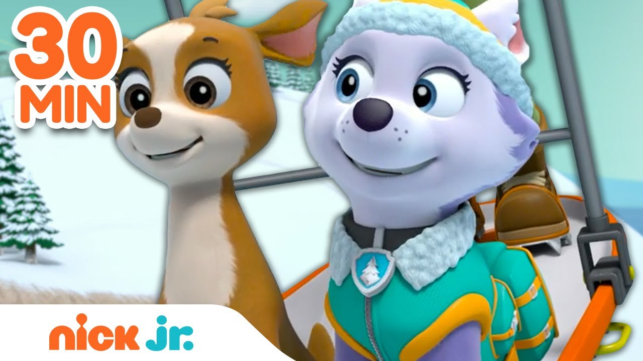 PAW Patrol BEST Winter Rescues w/ Skye, Everest & More! | 30 Minute Compilation | Nick Jr.