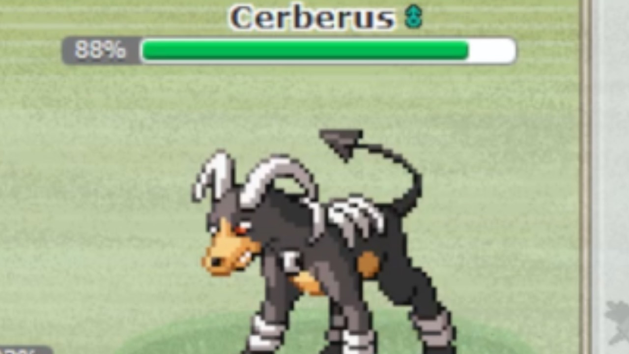 What The Cerberus Doing?