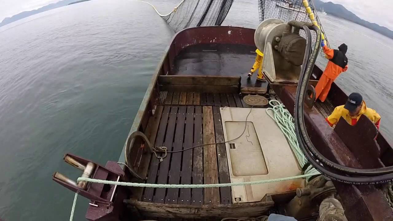 Commercial purse seine salmon fishing