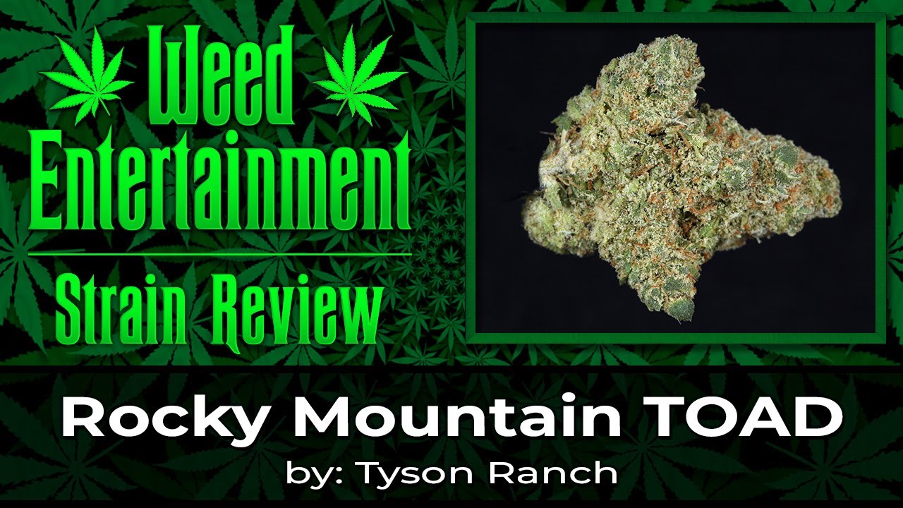 Rocky Mountain Toad - by Tyson Ranch - Strain Review - January 2023