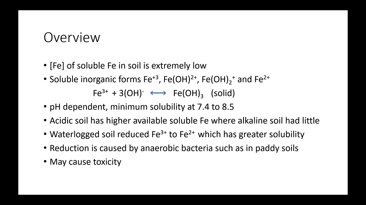 Introduction to iron in  nutrition in plants.