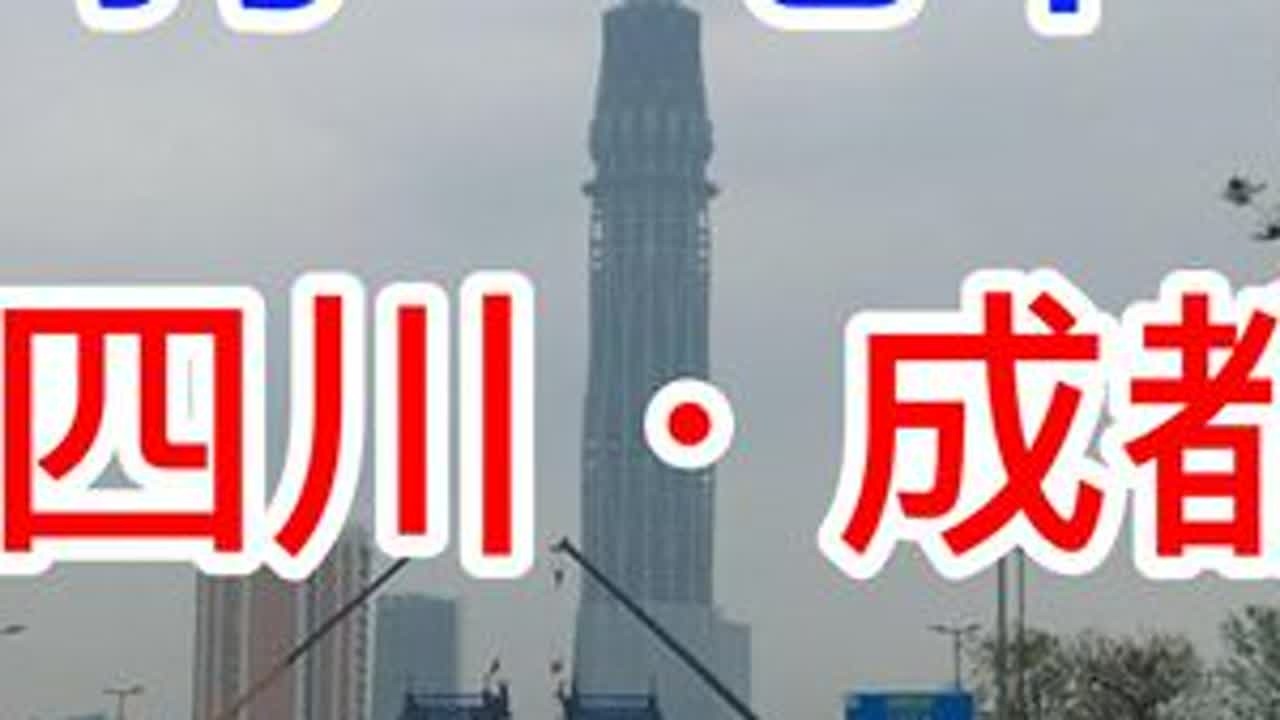 一人一狗一电车环游中国，到了四川成都，我俩都窜稀了 #边牧 #成都 #特斯拉 #环游中国