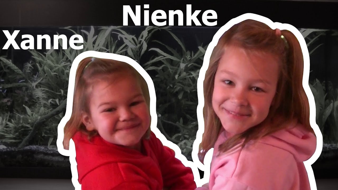 Familie Vergeylen op stap -  Zoo van Antwerpen (vlog 2)