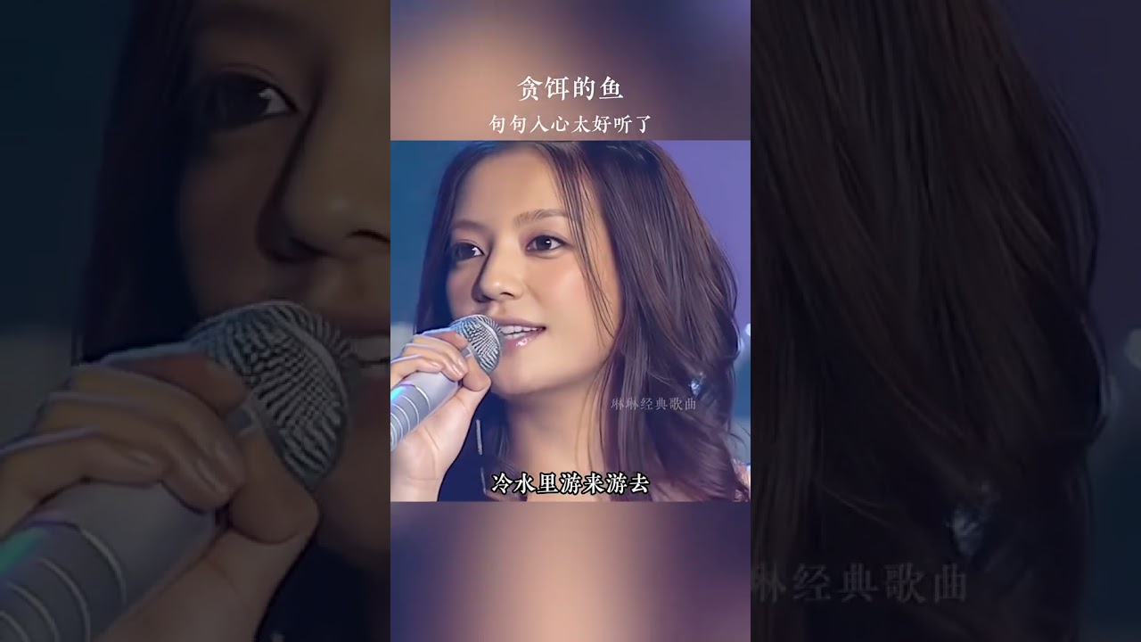 #贪饵的鱼