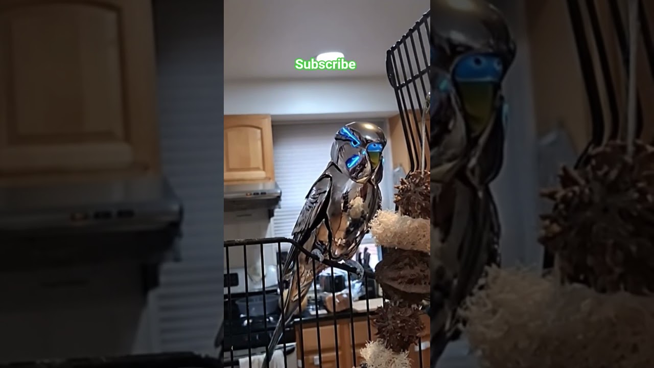 Cybird 🐦 