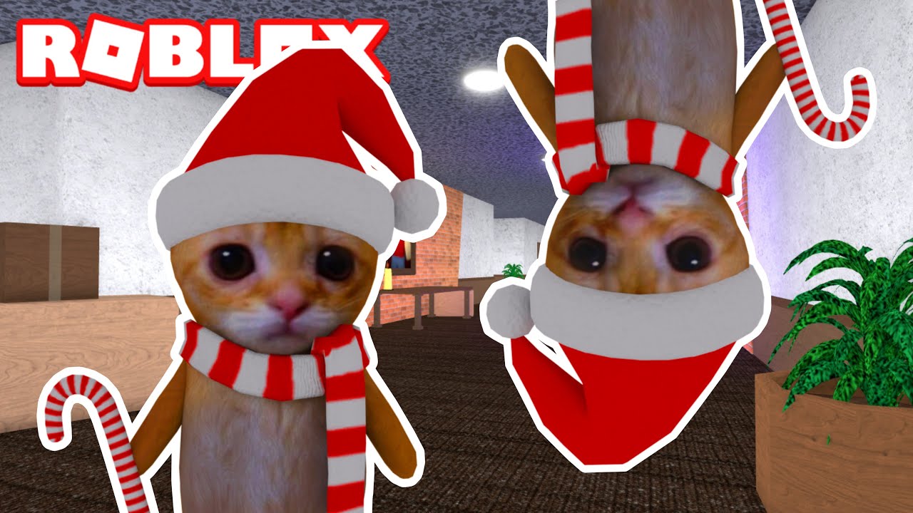 ANÉCDOTAS DE LA INFANCIA VESTIDOS DE GATOS 🐱/ MURDER MISTERY 2 / MIFU ROBLOX