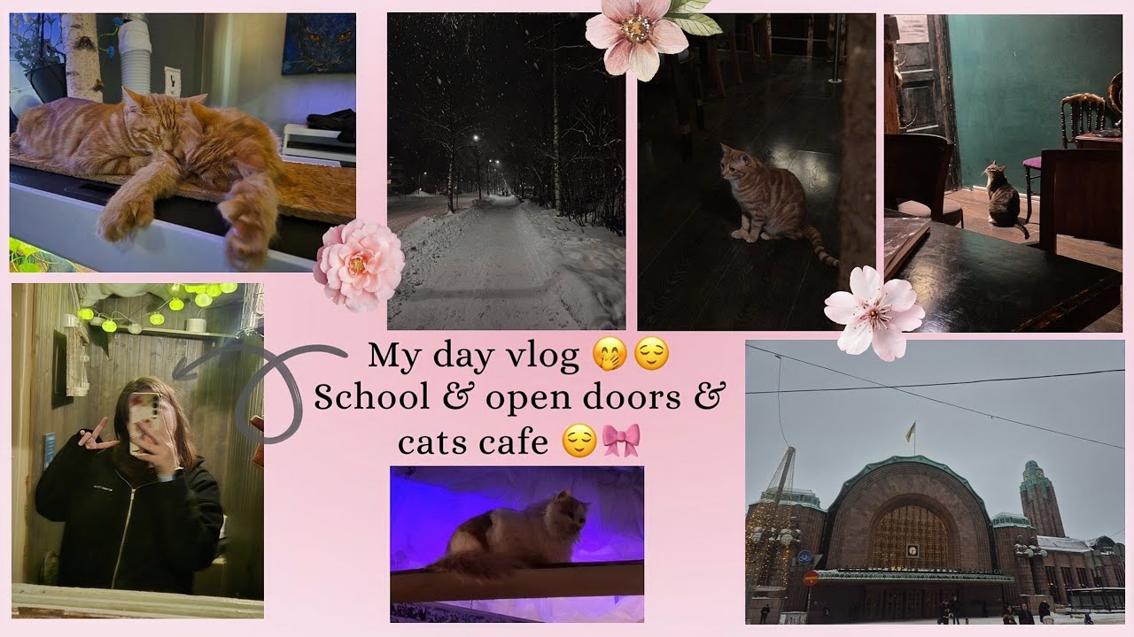 From School to Adventure: Cats 🐈, Classes 📚, cat’s cafe ☕️🍰 and Fun! ☺️🎀
