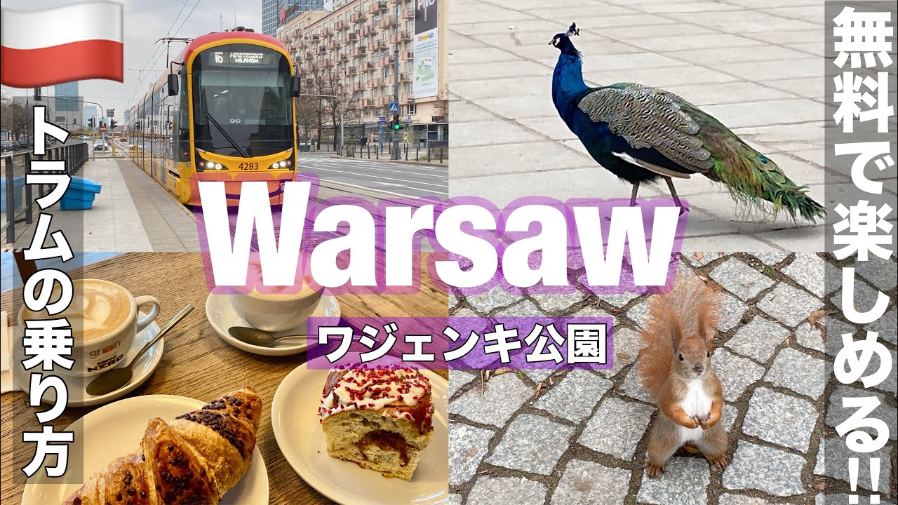 ＃中欧旅🇵🇱⑦冬のポーランド #ワルシャワ 観光・ワジェンキ公園（無料で楽しめる）リス・孔雀が普通にいる公園/トラムの乗り方/チェーン店のカフェで朝食・グルメ