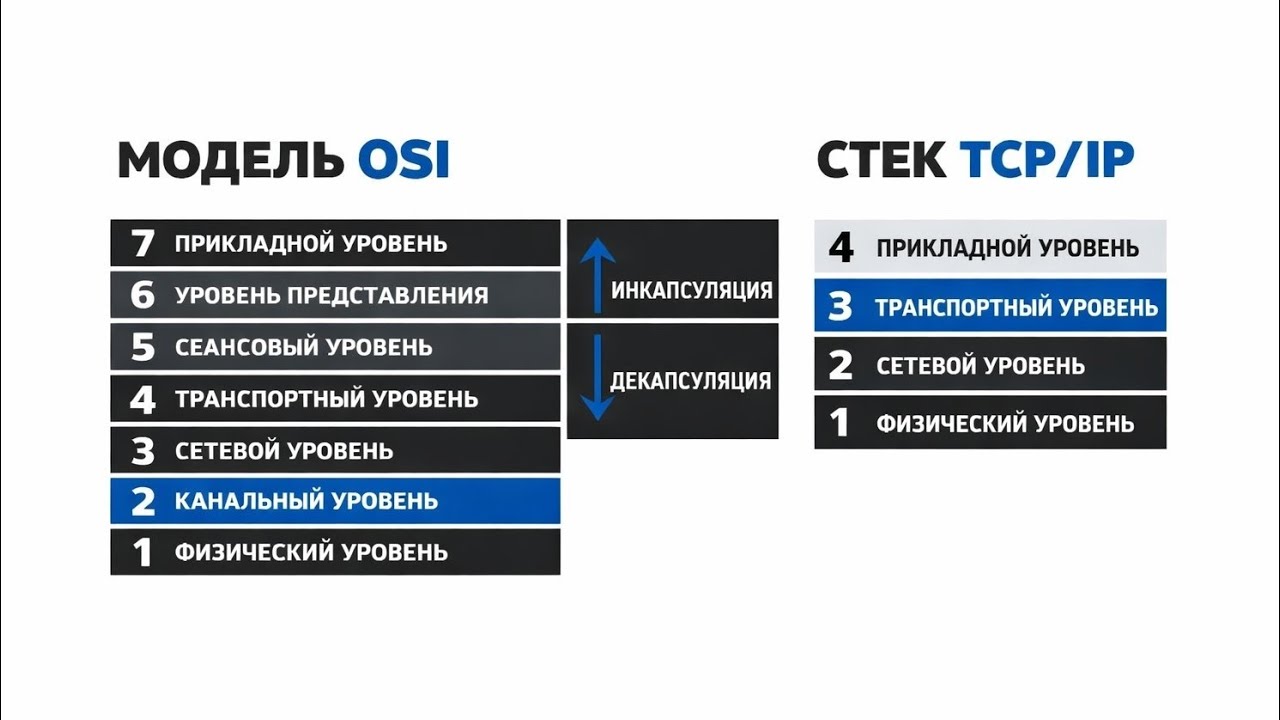 Сетевая модель OSI | Стек ТСP/IP | WEB INFOSEC 