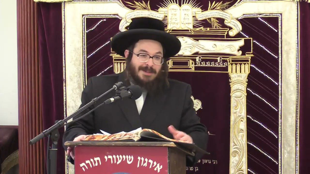 הלכות בורר בשבת - ר' מרדכי שעהר שליט