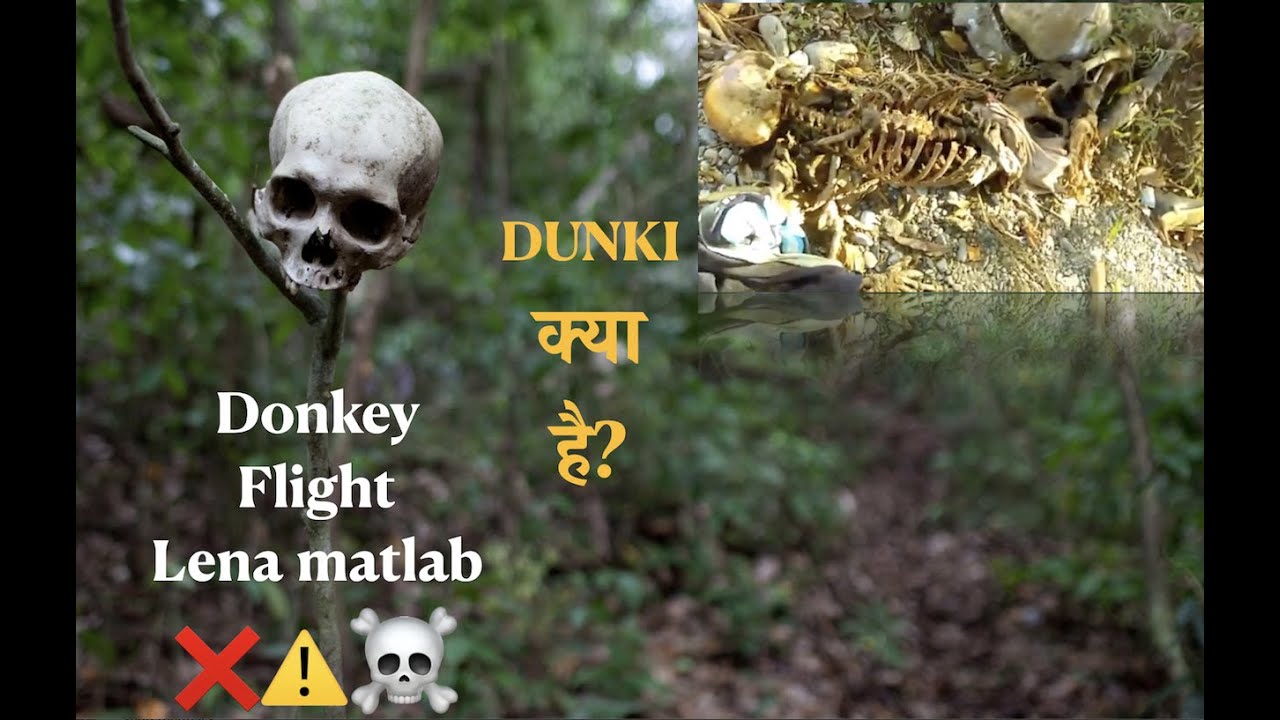 UNKNOWN Facts of Donkey Flight  Explained by Suman Vyas | क्या है DUNKI ? #Dunki #Donkeyflight #tsvs