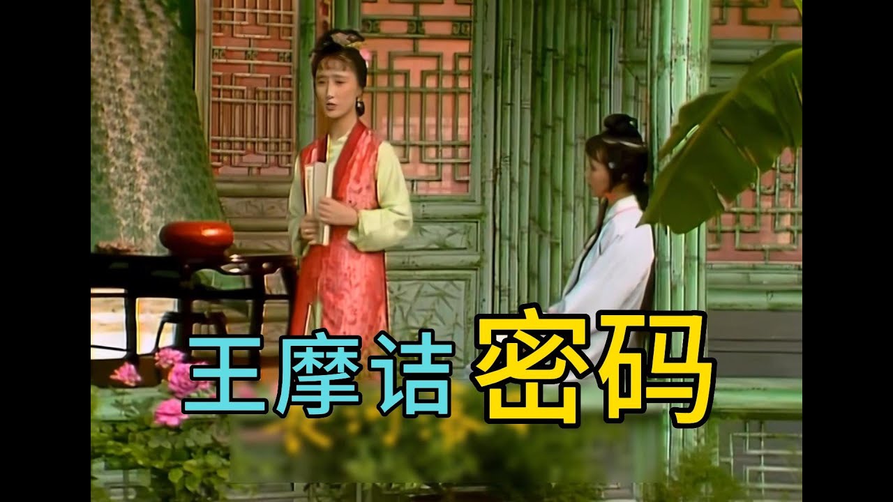 《红楼梦》 中译中 16 “王摩诘”密码