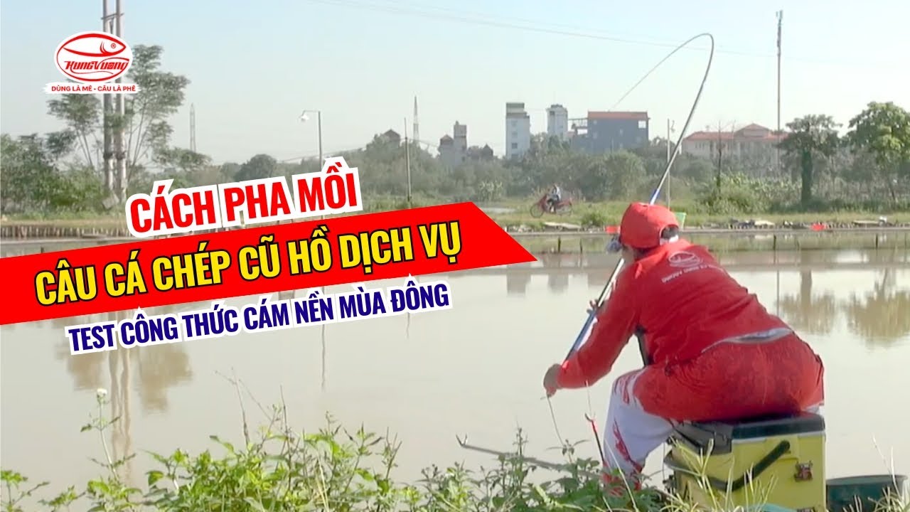 Cách pha mồi câu cá chép cũ hồ dịch vụ - Test công thức Cám Nền mùa đông
