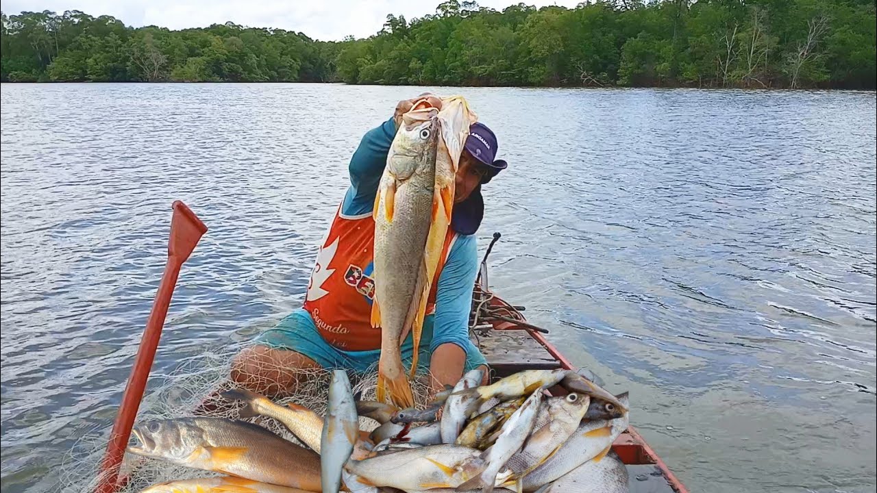 PESCARIA COM REDE MALHADEIRA, SÓ PESCADA BRUTA