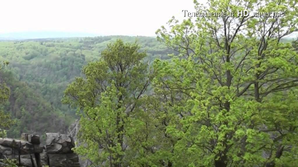 Im Reich der Hexen - Mit der Drahtseilbahn auf die Ro&szlig;trappe