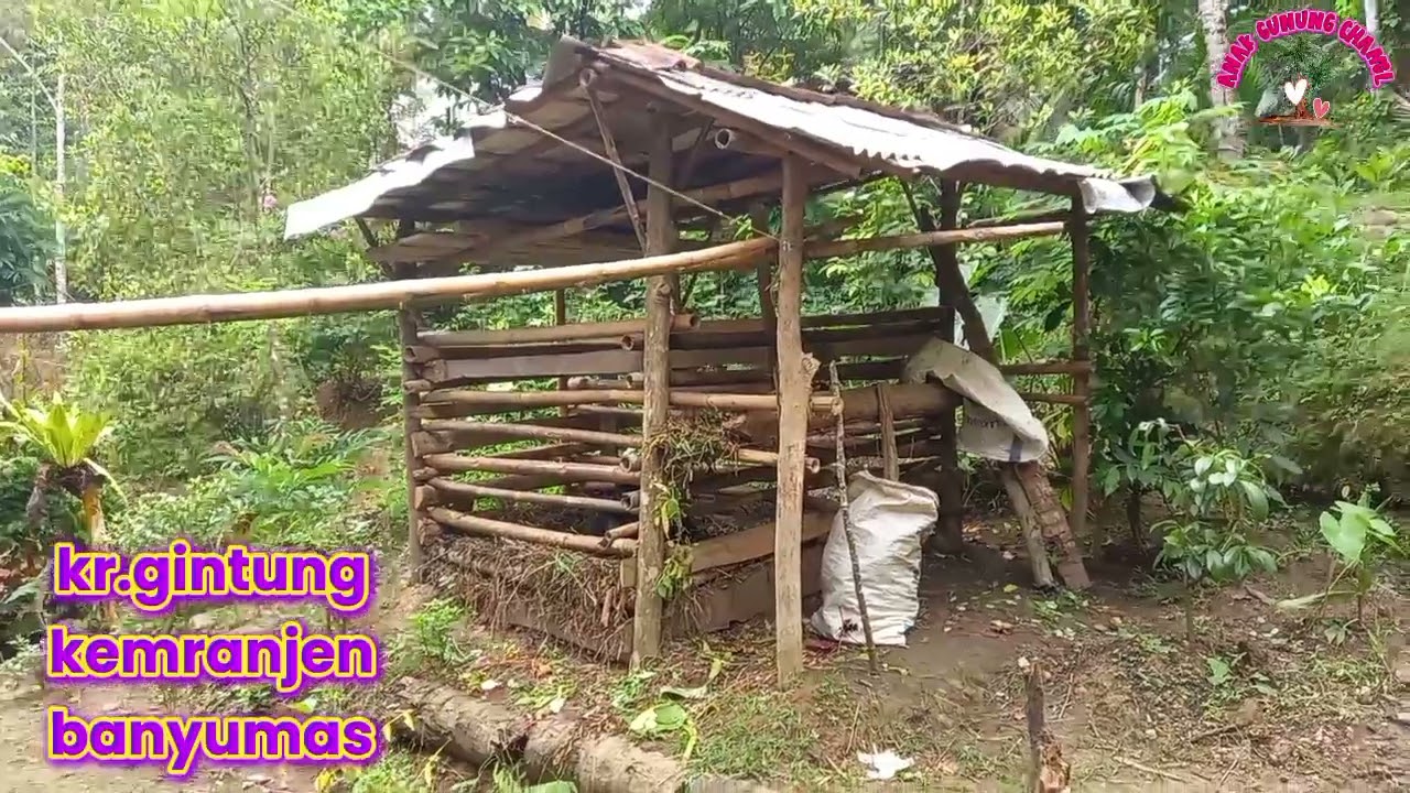 Menikmati alam desa @anak gunung chanel
