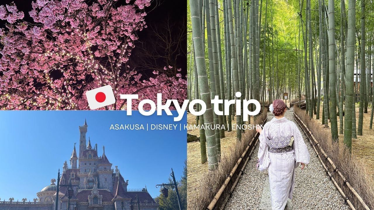 【Tokyo trip】東京周辺小旅行 | 雪の浅草 | ディズニー新エリア | 鎌倉と江ノ島日帰り旅 | 国際カップル