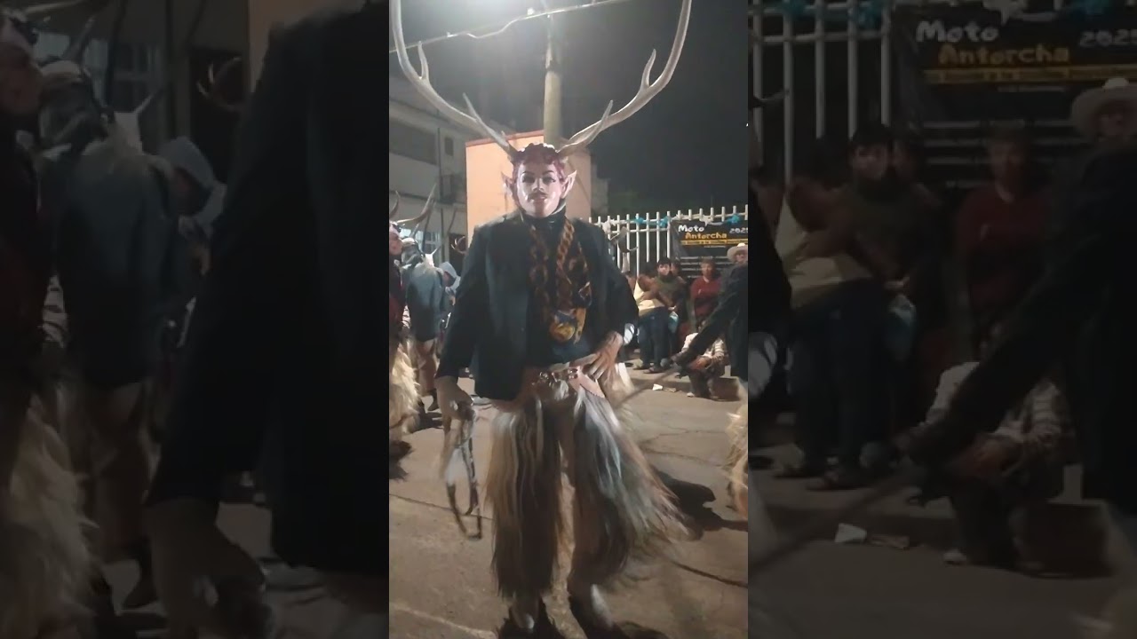Banda los morris