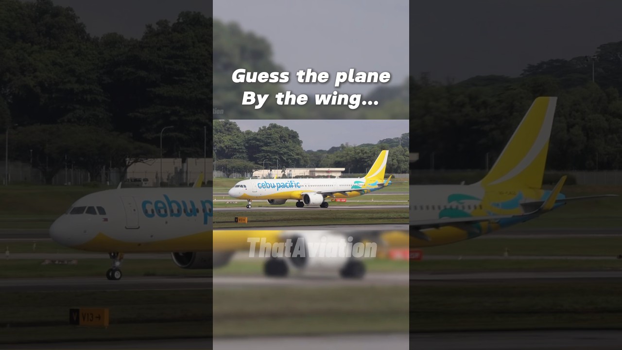 Guess the plane by its wing.. #aviation #plane #wingview #wing #cebupacificair #a320 #747 #737 .