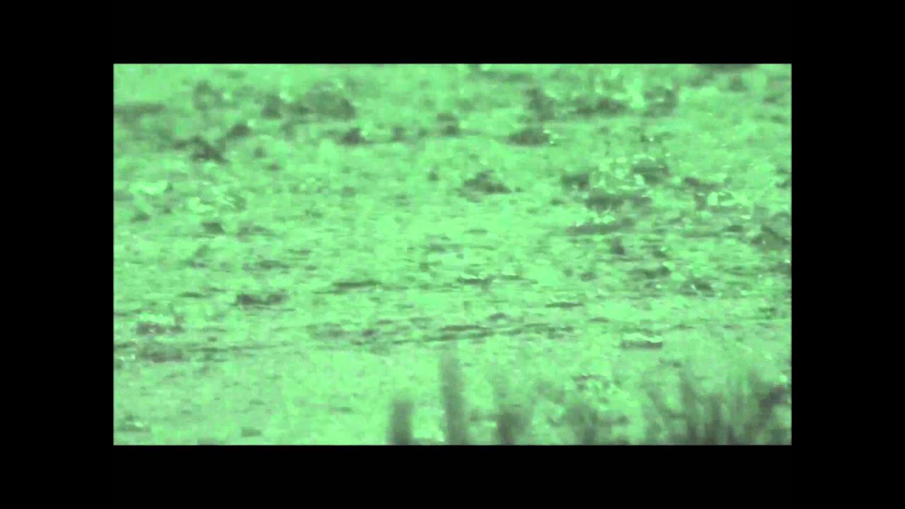 Fiji Sheets prod. feals (Yung Lean Type Beat)