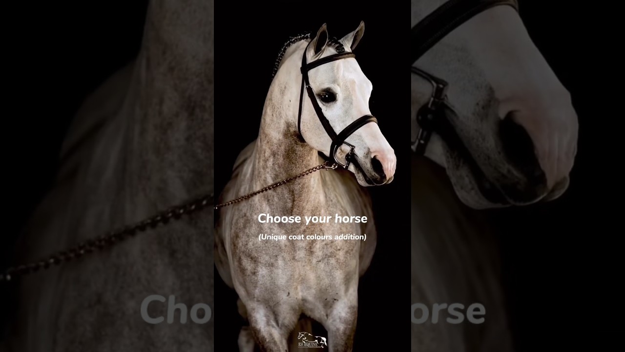 Choose your horse! Unique coat colours addition🤩