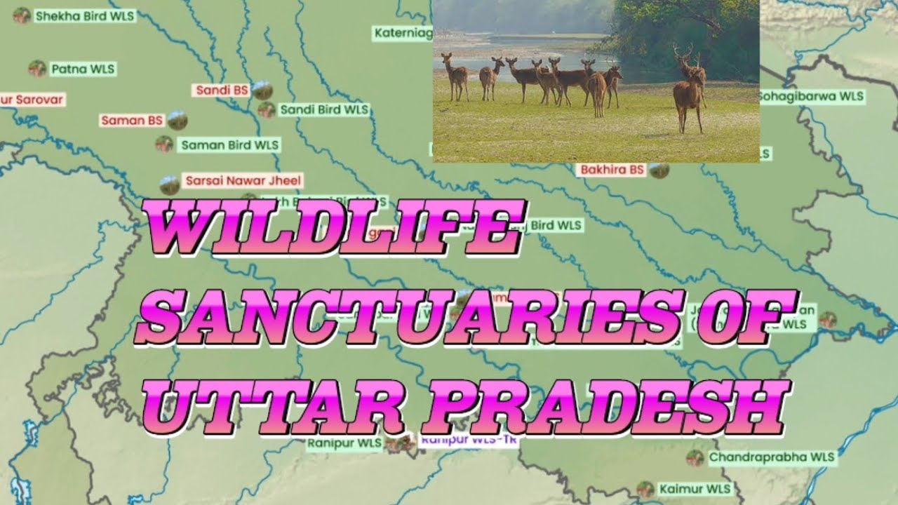 Wildlife sanctuaries in Uttar Pradesh-(Part-2)