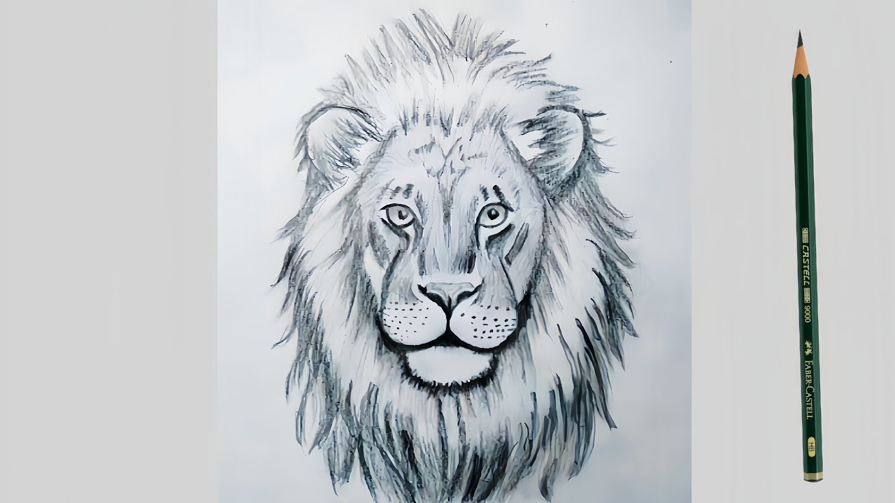 Realistic Lion Drawing Tutorial | Step by Step Pencil Sketch | Easy Lion Art