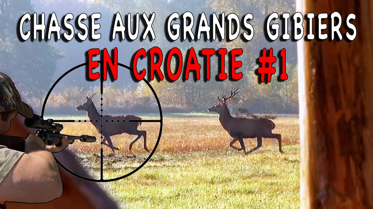 Chasse aux gros gibiers en Croatie #1
