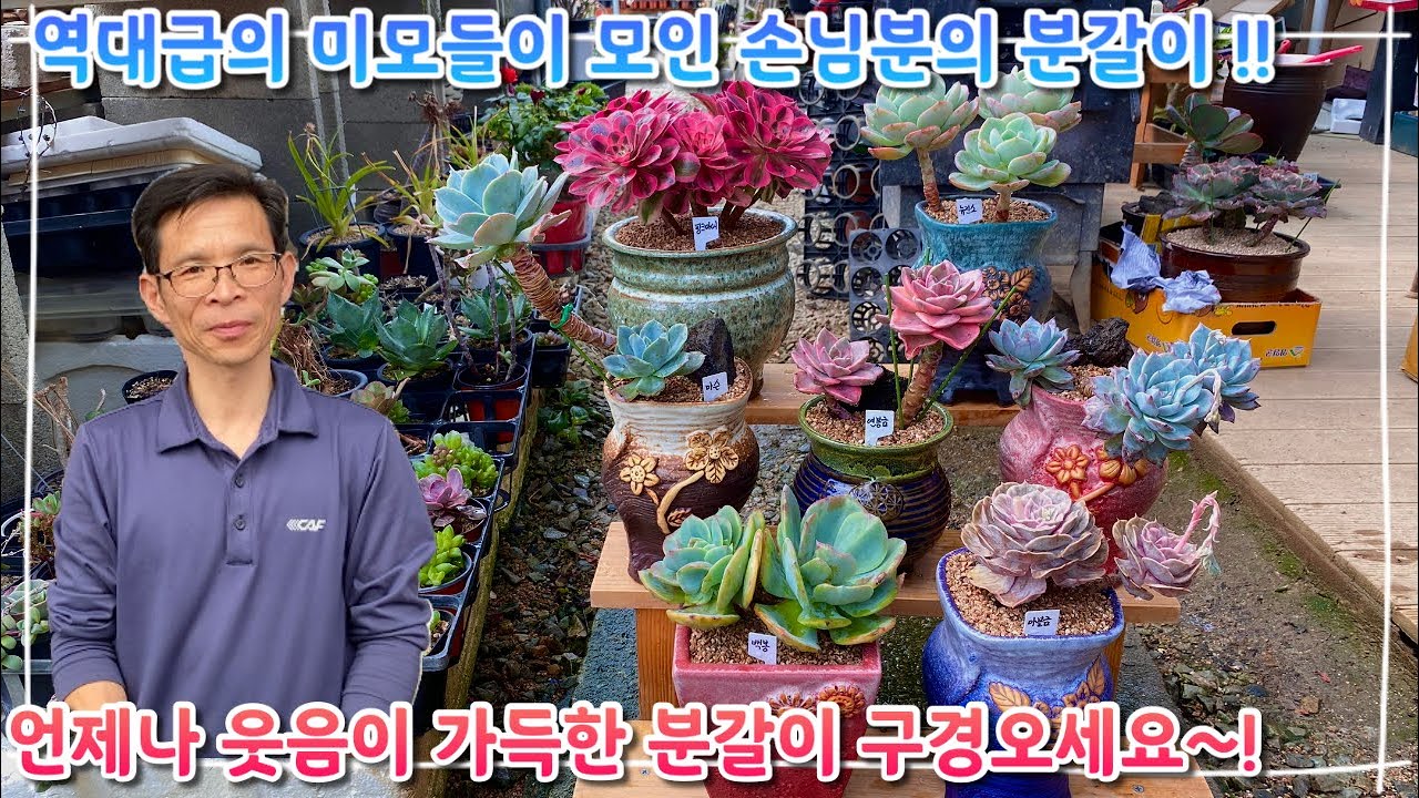 역대급 미모들이 모인 손님분 분갈이 !! 언제나 웃음꽃이 가득한 분갈이 구경오세요 ~!
