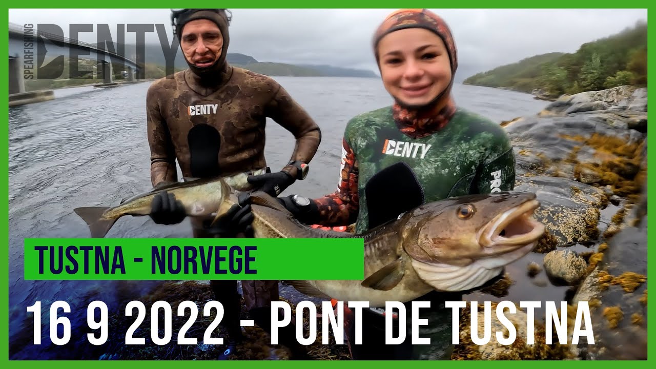 Chasse sous-marine à Tustna en Norvège