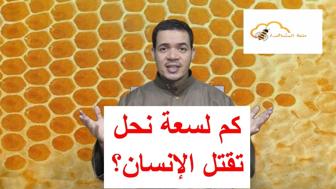 كم لسعة نحل تقضي على الإنسان؟