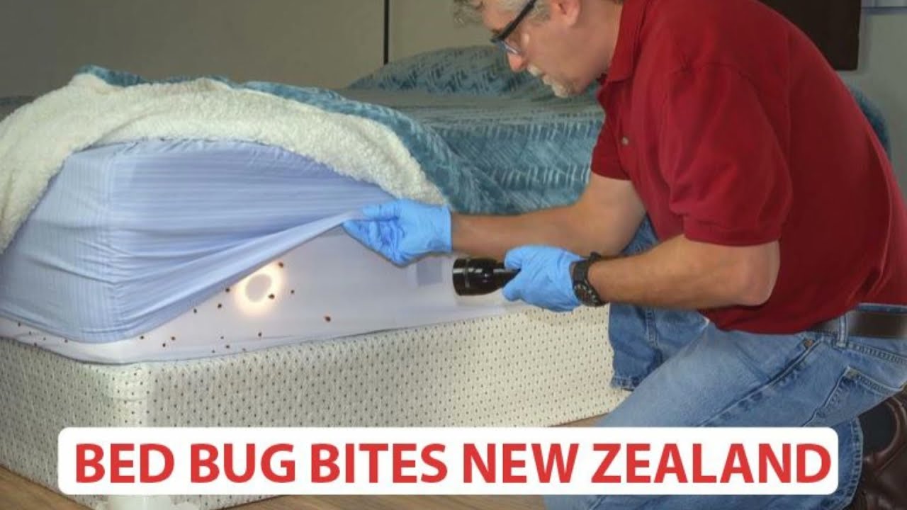 Pest Control Auckland Bed Bugs| Bed Bug Exterminator Auckland New Zealand | Aces Pest Control NZ