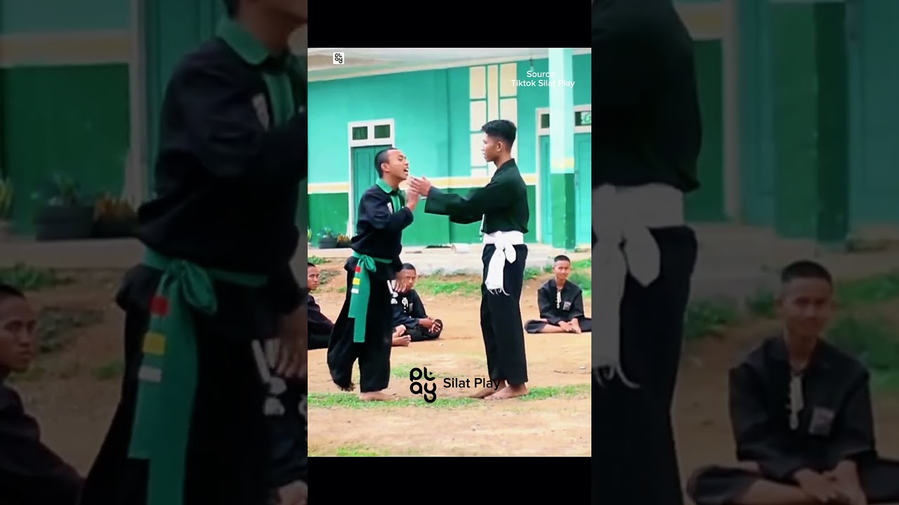 Pagar Nusa vs Psht
