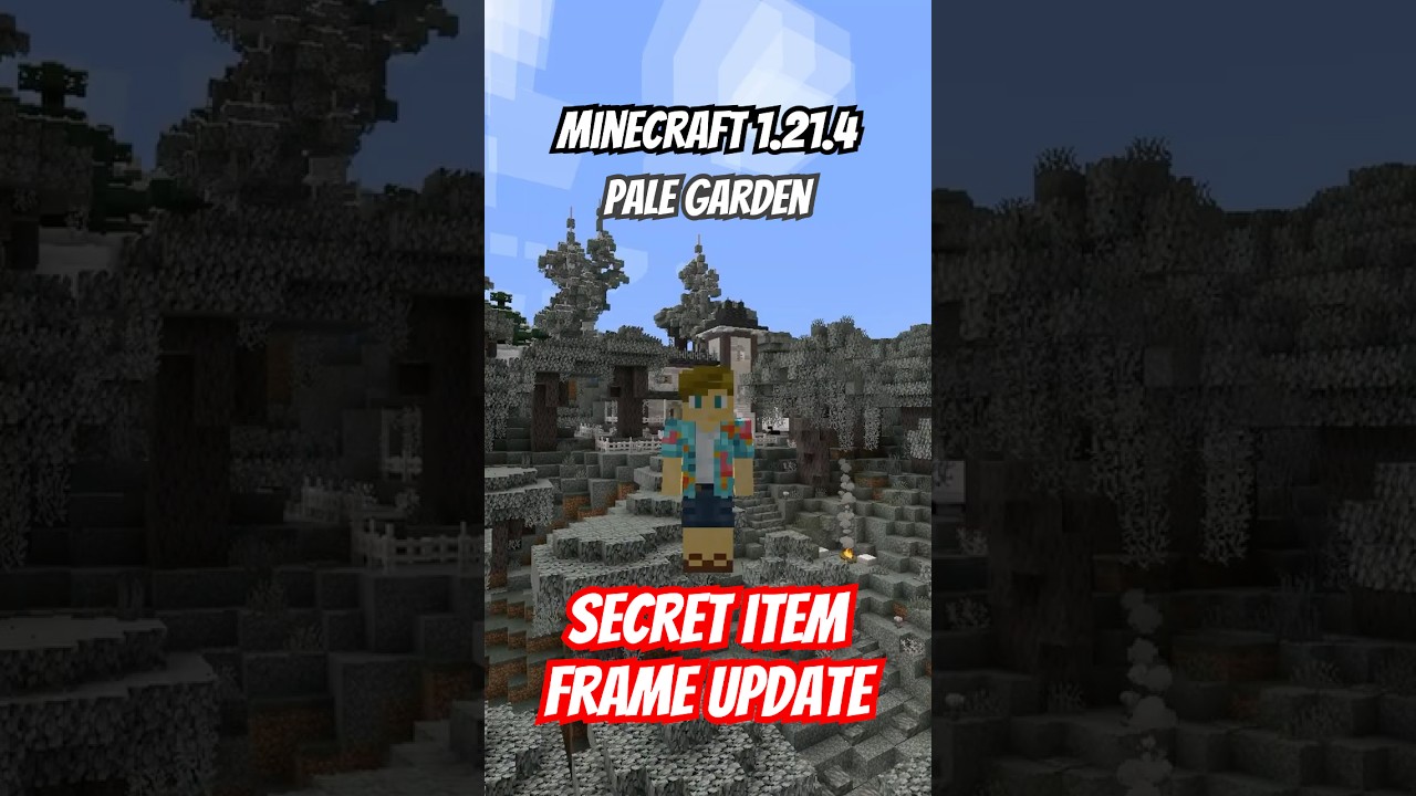 SECRET ITEM FRAME CHANGE?!