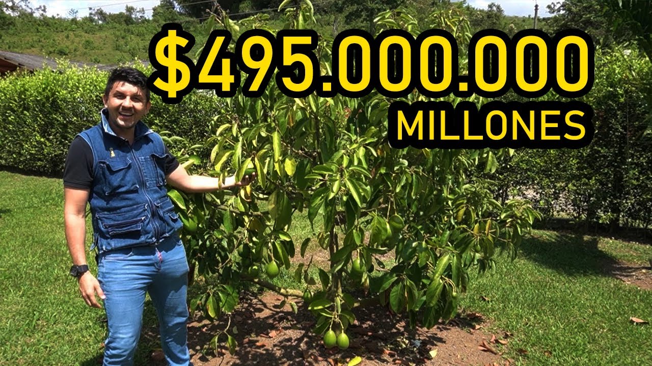 Finca en Restrepo Valle con Casa Nueva y cerca de Cali