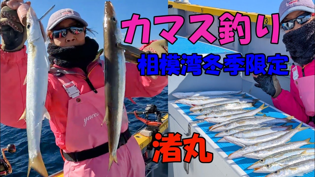 相模湾冬季限定　大カマス釣り