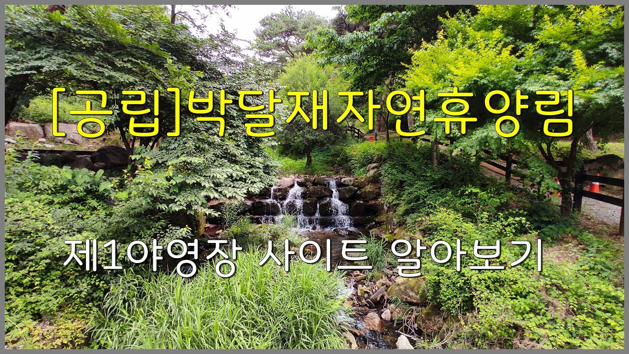 [공립]박달재자연휴양림 제1야영장 사이트 알아보기(충북 제천)