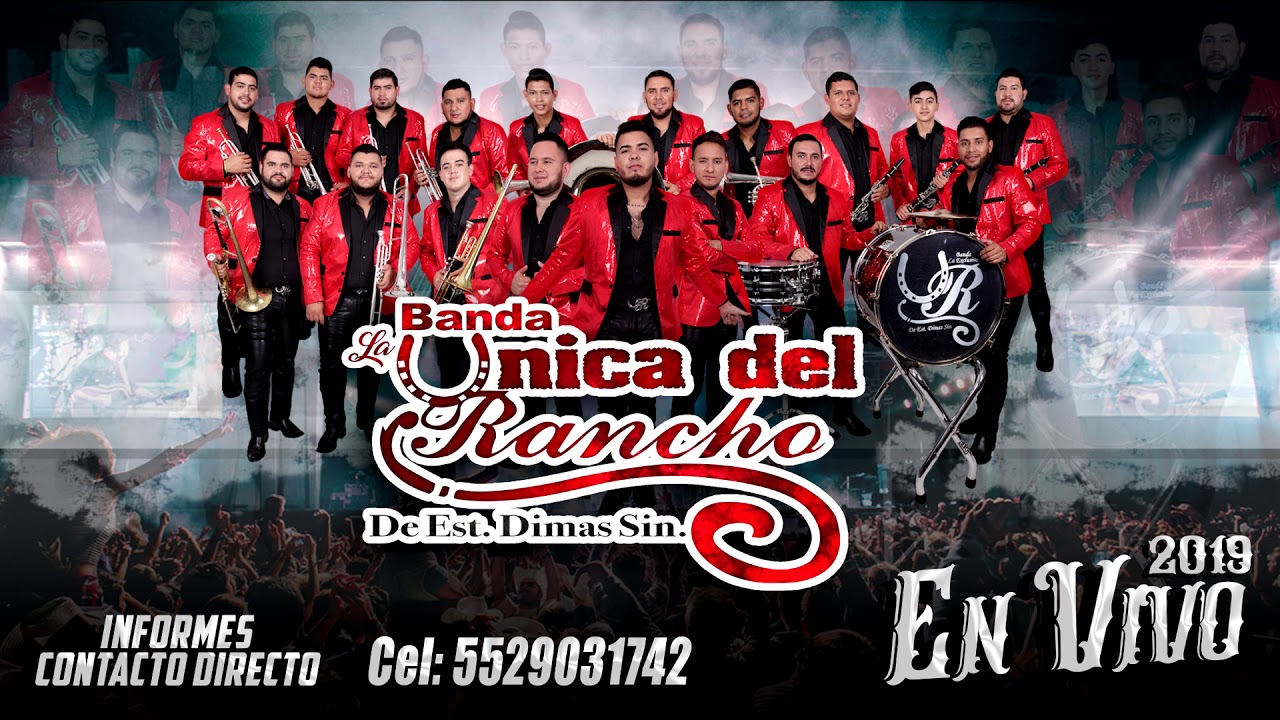 Banda La Unica Del Rancho - Las Gaviotas, Pedro Aviles , Juan Martha